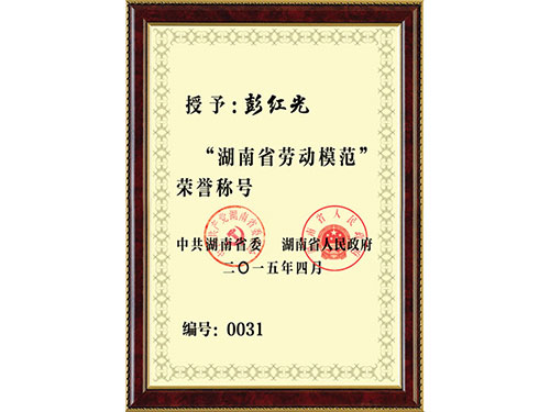 湖南省劳模